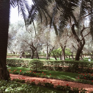 The Baha'i Garden in Haifa
